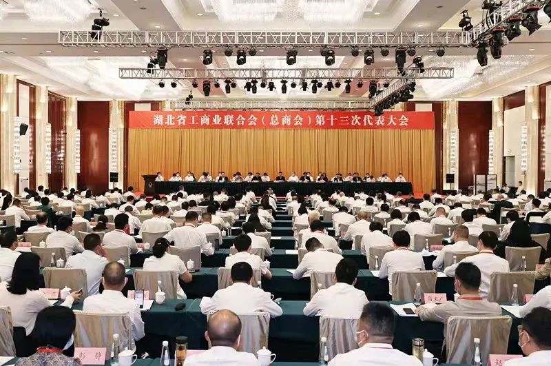 金海当选湖北省工商业联合会（总商会）副会长