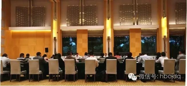 长江电气受邀参加国务院督察组民间投资专项座谈会