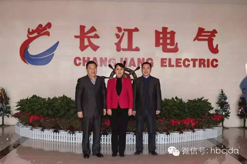 黄冈市市长陈安丽率团考察长江电气