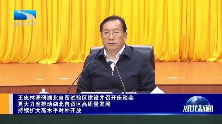 王忠林省长调研湖北自贸试验区并听取企业工作汇报