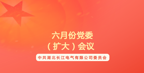 米兰体育官方网站电气有限公司召开六月份党委（扩大）会议