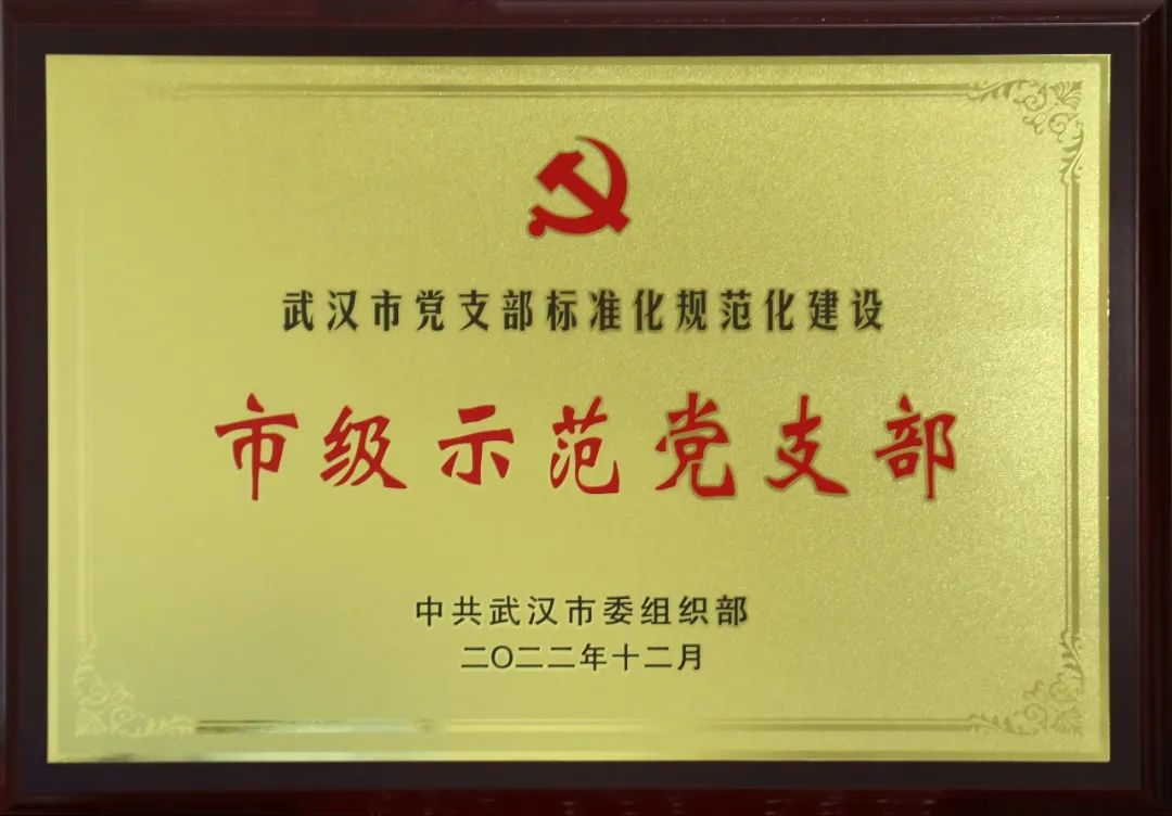 一个支部一座堡垒｜长江电气智造建设公司党支部被评为标准化规范化建设市级示范党支部