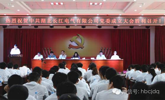 中共米兰体育官方网站电气有限公司党委成立大会隆重召开